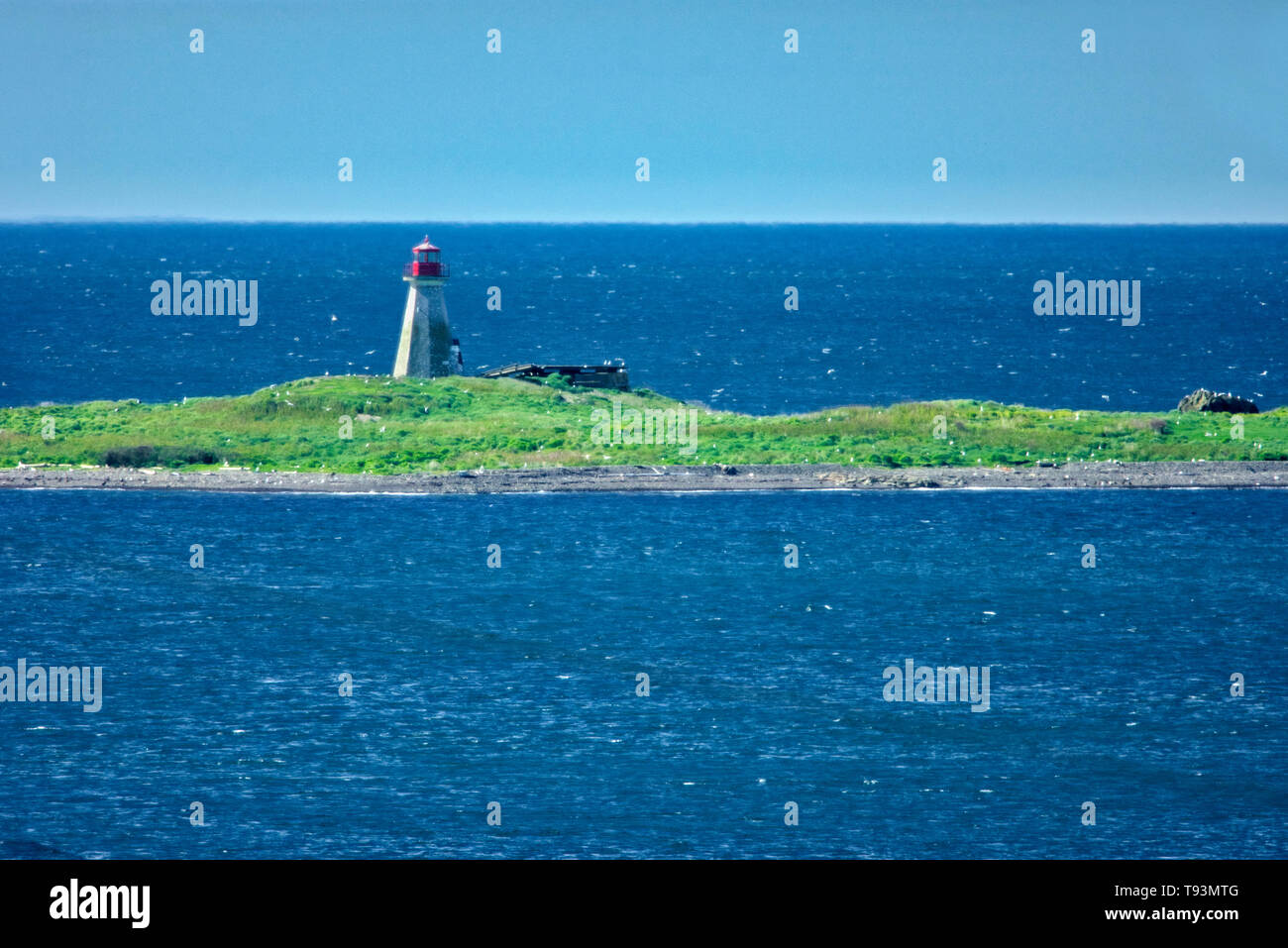 Peter Island Lighthouse in der Bucht von Fundy, Peter Island, Kanada Stockfoto