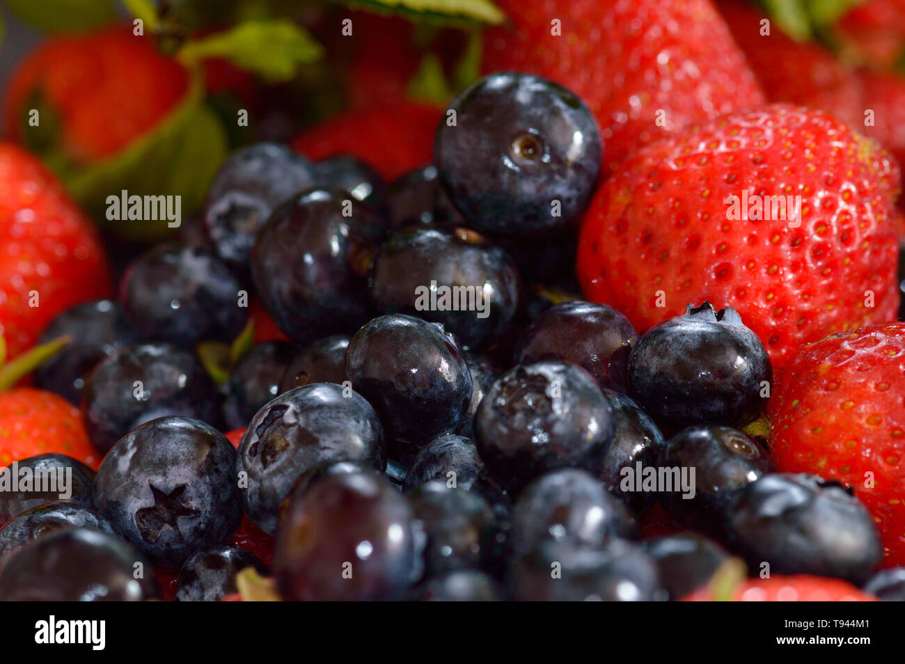 Frisch gepflückt und wusch Erdbeeren und Blaubeeren. Konzept für gesunde Ernährung, Obst, vegetarische und vegane Lebensweise, Sommer, Essen blog, usw. Kopieren Stockfoto