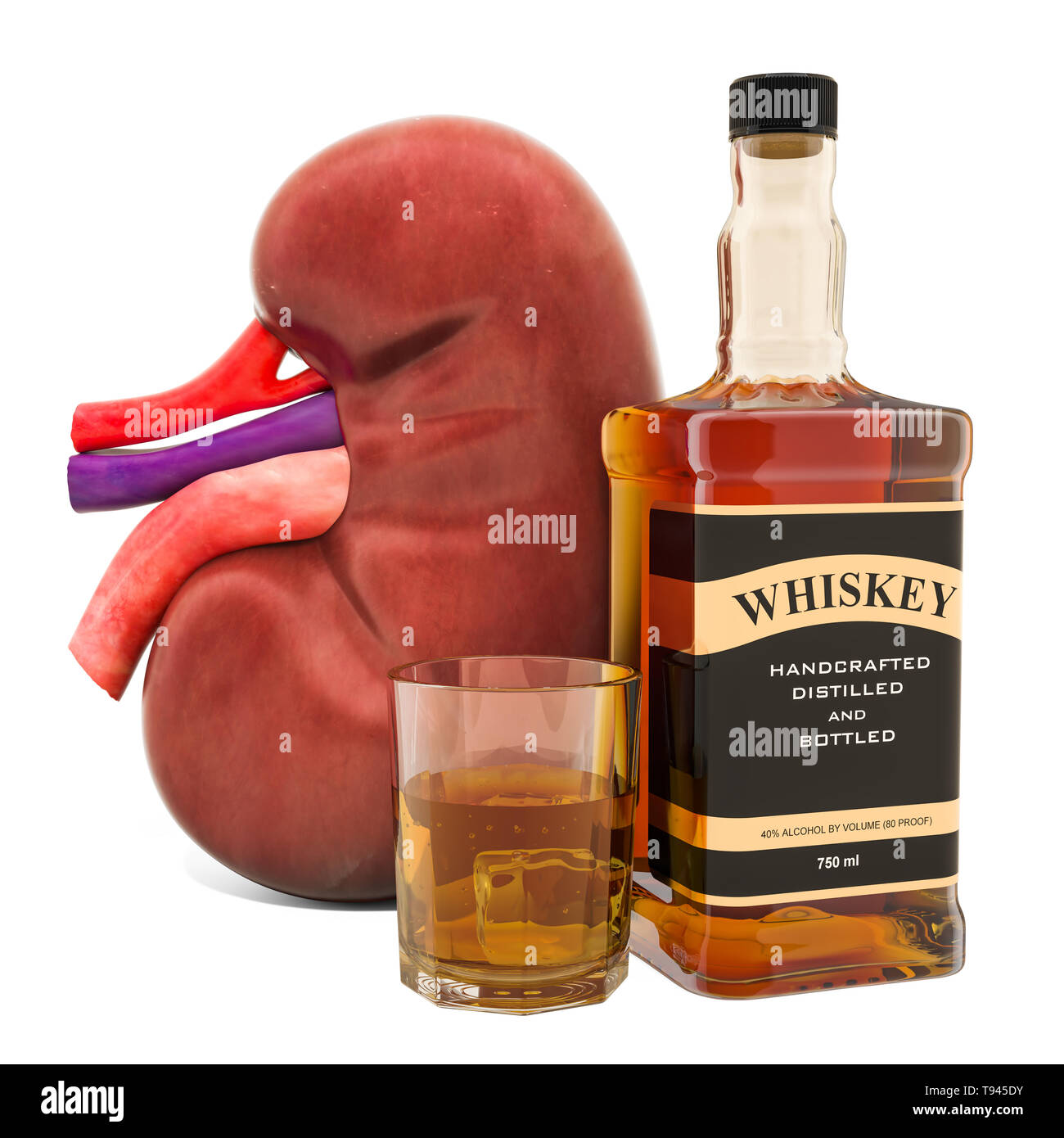 Alkohol Auswirkungen auf die Nierenfunktion Konzept. Menschliche Niere mit Alkohol trinken. 3D-Rendering auf weißem Hintergrund Stockfoto