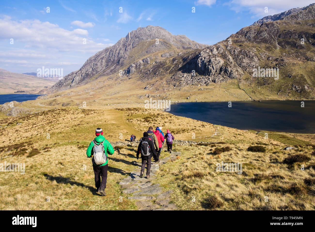 Wanderer Wandern nach unten Y Garn Bergweg zum Llyn Idwal See im Cwm Idwal in Berge von Snowdonia National Park. Ogwen, Gwynedd, Wales, Großbritannien, Großbritannien Stockfoto