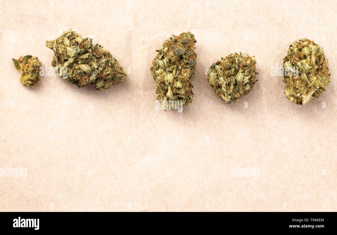 Detail der rechtlichen Marihuana Blumen fotografiert auf dem Papier Hintergrund Stockfoto