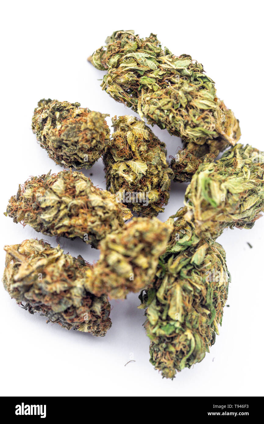 Detail der rechtlichen Marihuana Blumen auf sauberen Hintergrund fotografiert. Stockfoto