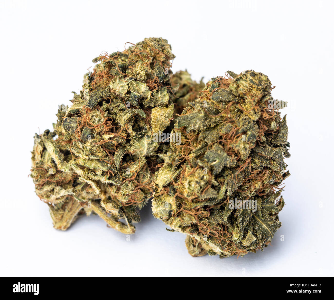 Detail der rechtlichen Marihuana Blumen auf sauberen Hintergrund fotografiert. Stockfoto
