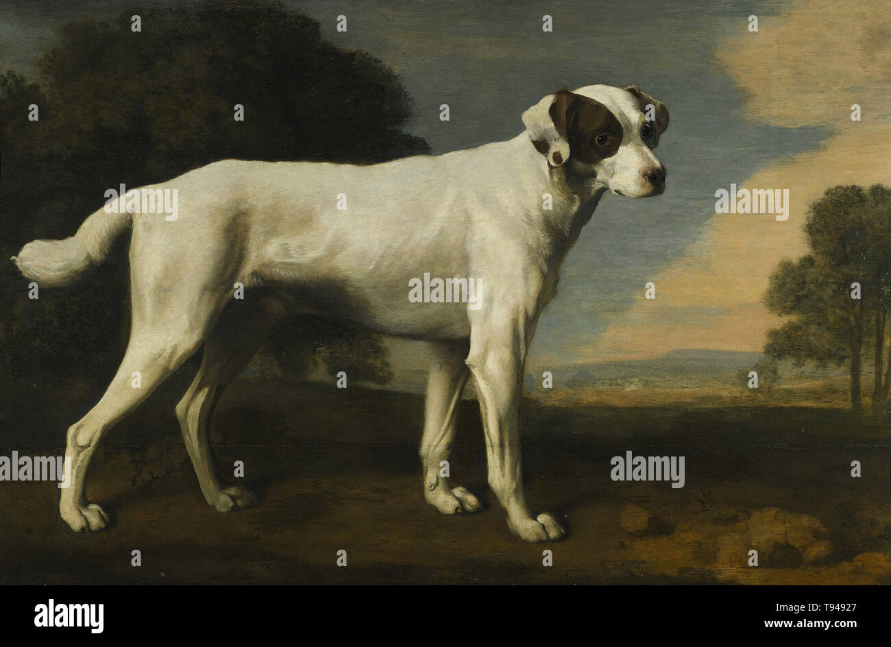 George Stubbs - viscount Gormanston s weißer Hund 1781 Stockfoto