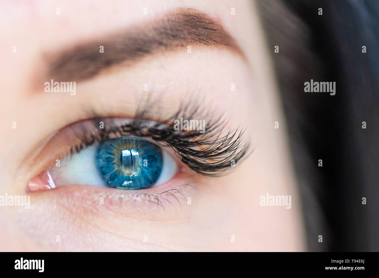 Blaue Augen. Nahaufnahme von einer Frau Auge. Eyelash Extensions Stockfoto
