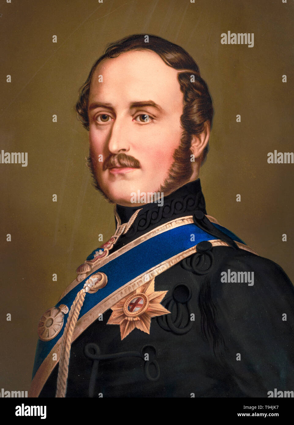 Prinz Albert, Portrait Malerei, strumpfband Stern, C. 1866 Stockfoto