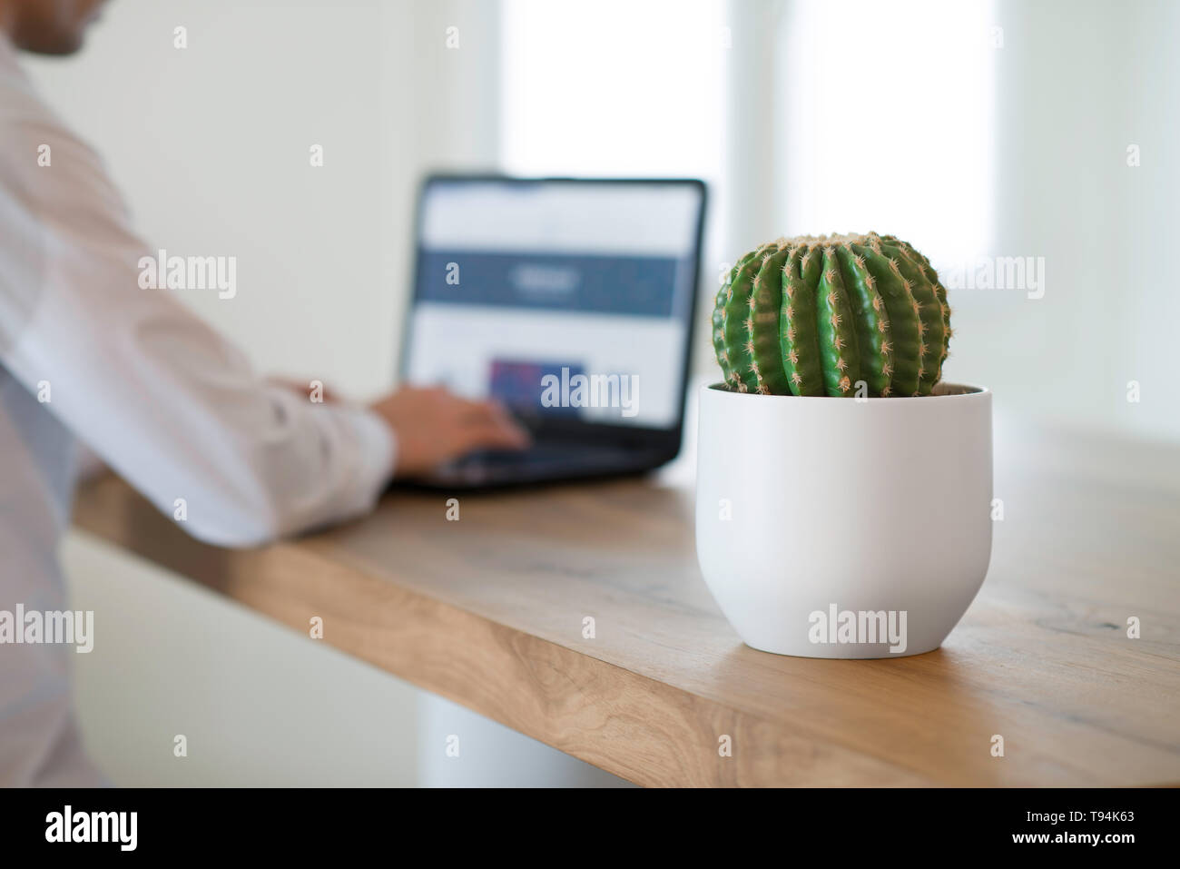 Ein Kaktus Pflanze und ein Mann, der an einem Notebook arbeitet Computer  auf einem modernen Holz- Tabelle in einem weien minimalistischen Office  Interior Stockfotografie - Alamy