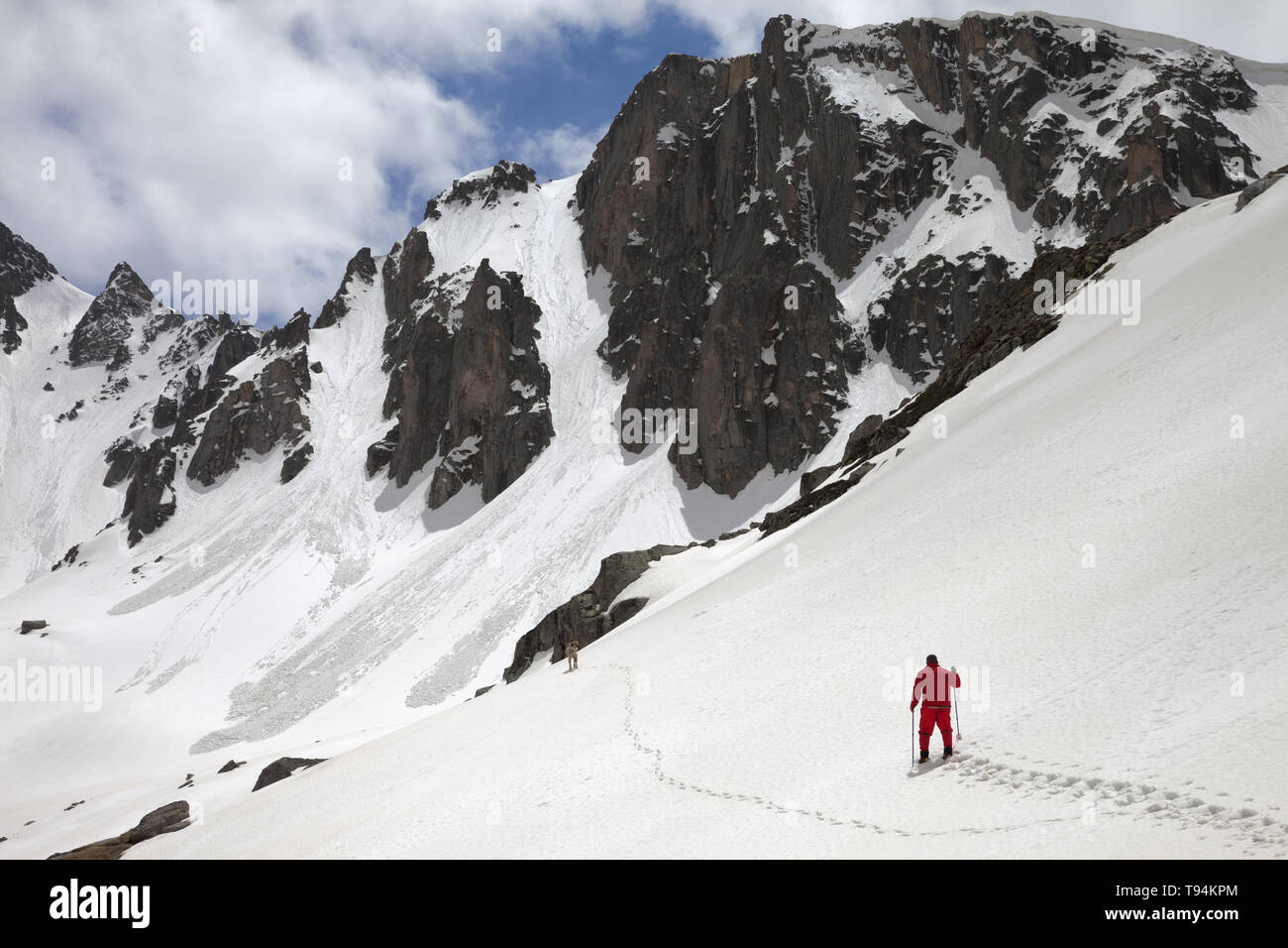 Snowy Mountains mit Lawine Spuren, sunlit bewölkter Himmel, Wanderer in Rot mit Skistöcken und Hund auf schneebedeckten Hang in sonniger Tag. Türkei, Kachkar Berge, Stockfoto