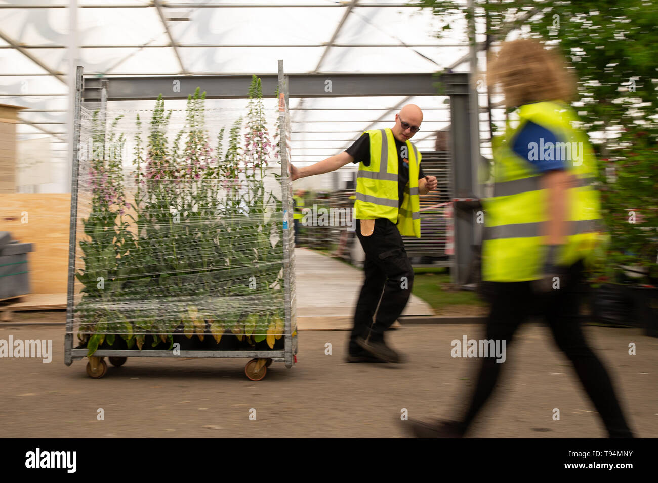 Blumen und Pflanzen sind während der Vorbereitungen für das RHS Chelsea Flower Show im Royal Hospital Chelsea, London transportiert. Stockfoto