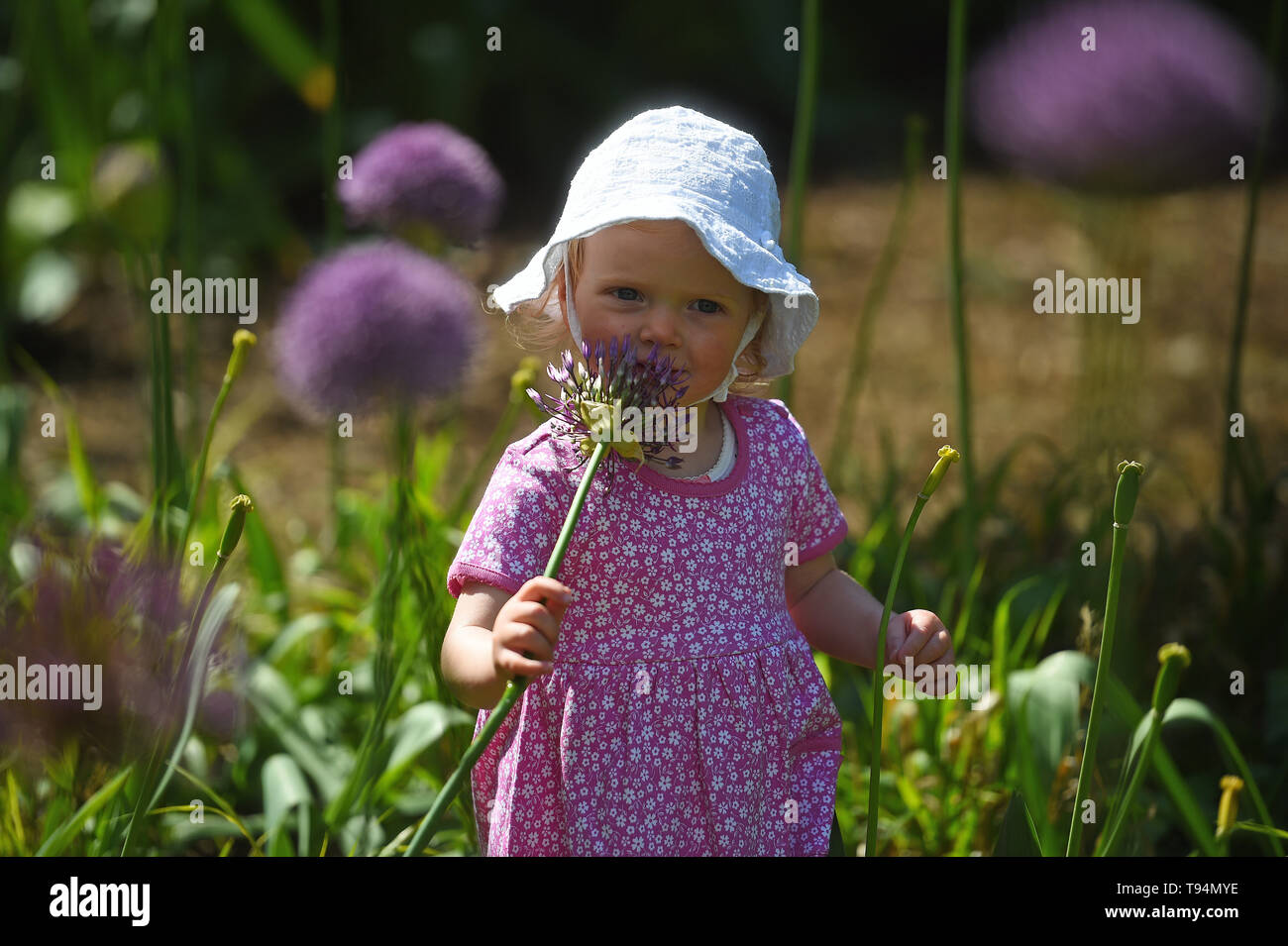 Martha Weiß, im Alter von 22 Monaten, spielt in der neuen Kinder Garten in Kew Gardens in Surrey. Stockfoto