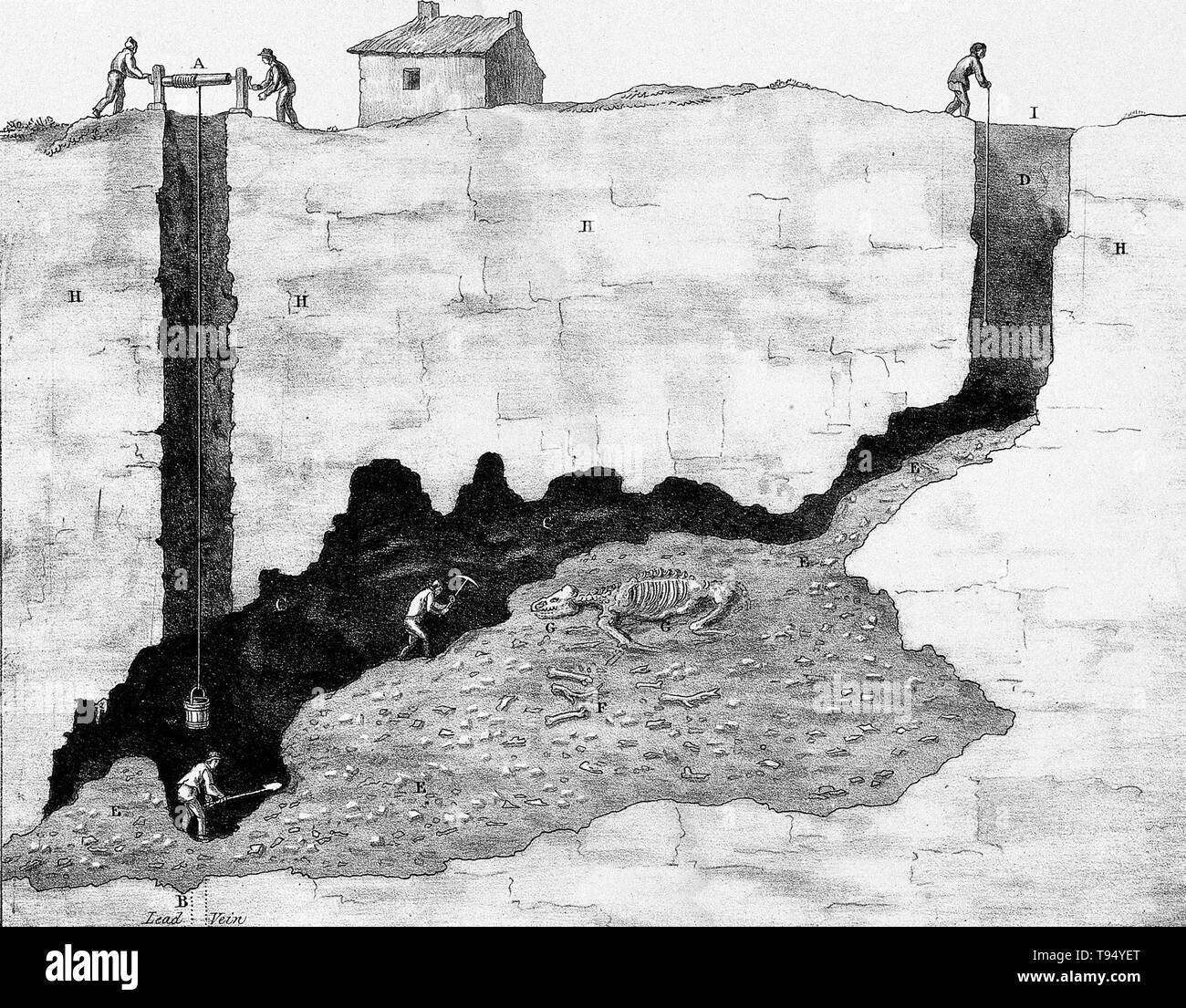 Querschnitt einer Mine in Derbyshire, die Bergleute auf ein Tier fossilen arbeiten. Lithographie, 19. Jahrhundert, von Thomas Webster nach einer Skizze von Professor Buckland. Stockfoto