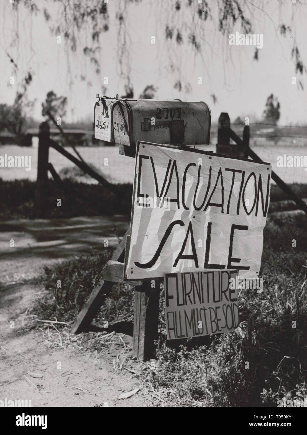 Mit dem Titel: "Die Evakuierung der Japaner von der Westküste Gebiete unter U.S. Army war Emergency Order Japanische versuchen, ihre Sachen zu verkaufen." Der internierung der Japaner während des Zweiten Weltkriegs war die Zwangsumsiedlung und Internierung in Lagern von 110,000-120, 000 Menschen japanischer Abstammung, von denen die meisten an der pazifischen Küste lebte. 62 % der Internierten waren Bürger der Vereinigten Staaten. Diese Aktionen wurden von Präsident Franklin D. Bestellt Stockfoto