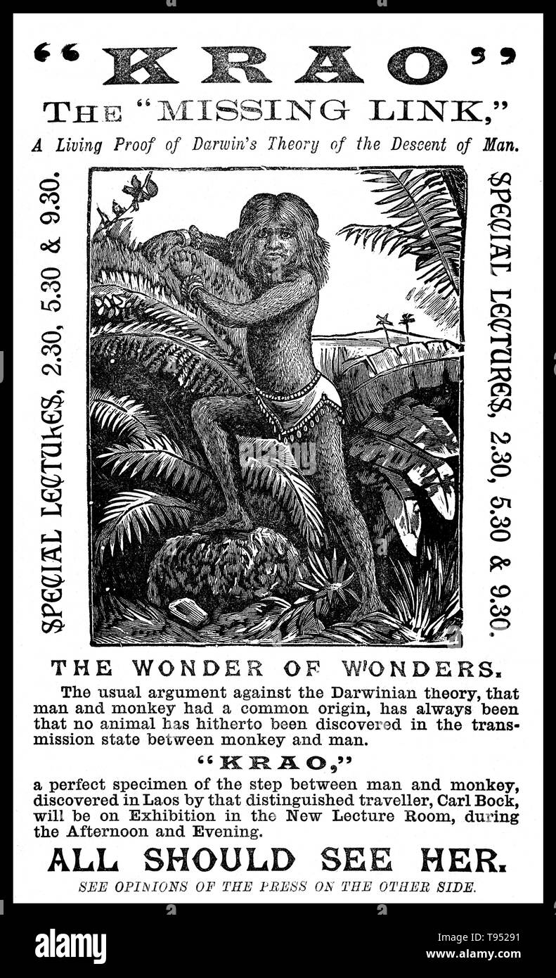 Krao Re di Roma (1876 - 16. April 1926) war ein US-amerikanischer sideshow Interpret geboren mit hypertrichose. Es wird behauptet, dass im Januar 1881, Krao und ihre Eltern in Laos gefangen genommen wurden während einer Expedition geleitet durch die Explorer Carl Bock. Ein Anthropologe, George Shelly, war Teil der Expedition und übernahm Krao. Sie war als Teil eines primitiven Stammes Menschen namens 'Kraos - monink' alle von wem wurden in Haar bedeckt beschrieben und in den Bäumen lebte. Stockfoto