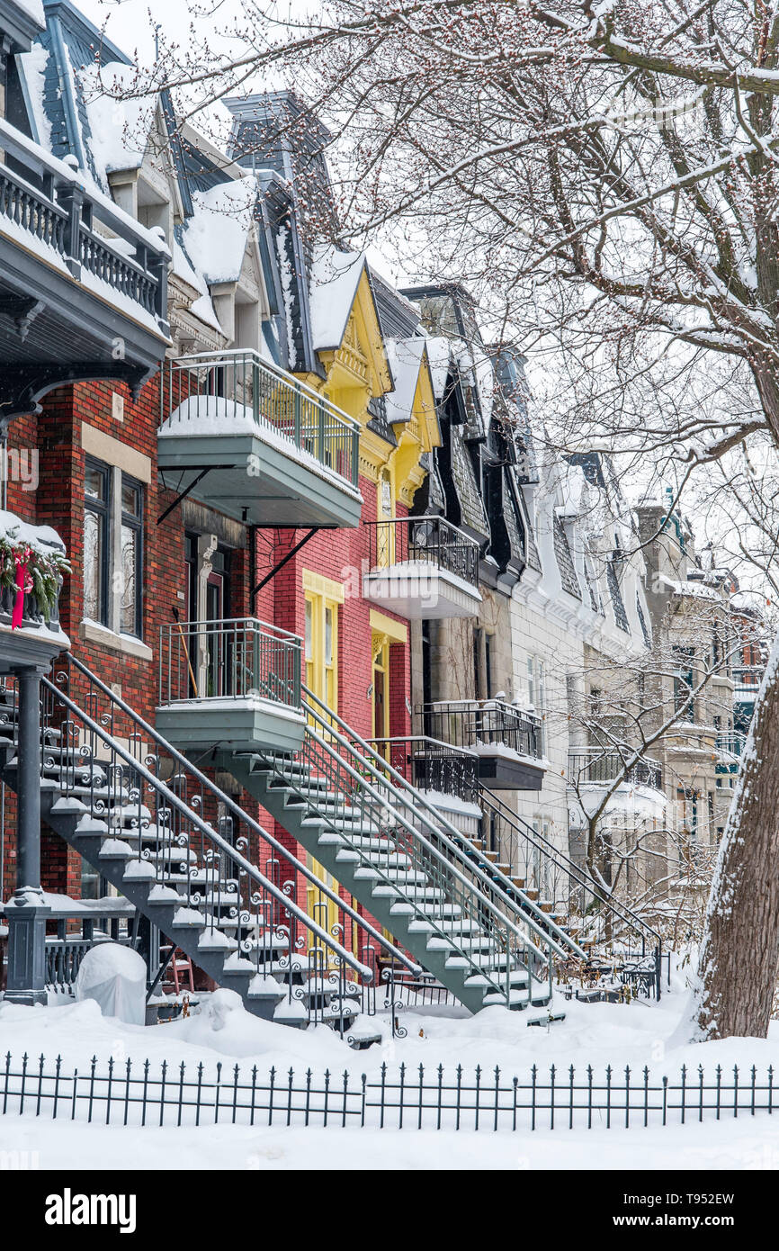 Portraitfoto von bunten Häusern in einer ruhigen Nachbarschaft nach einem Schneesturm. Platz geschossen in der Nähe von Saint-Louis, Plateau Mont-Royal, Montreal, Quebec, Kanada Stockfoto