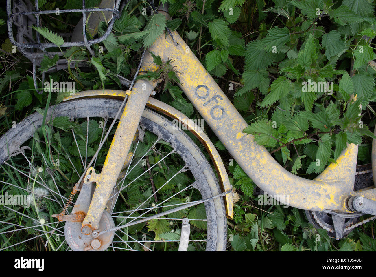 Detail der abgebrochenen Ofo Fahrrad zog von den Grand Union Canal und Links auf der Bank Stockfoto