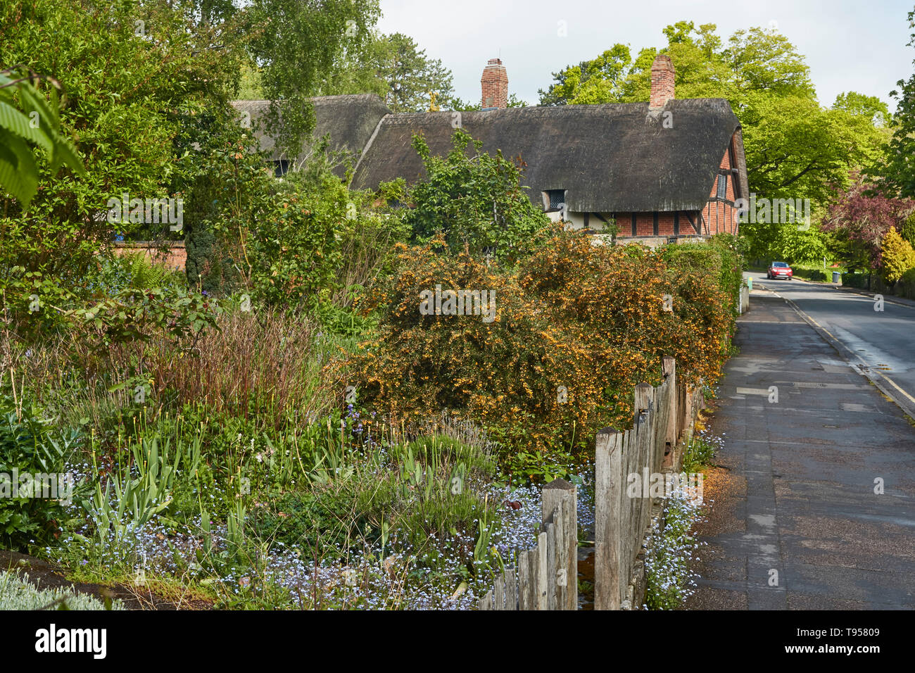 Anne Hathaway's Cottage, Shottery historischen Englisch in der Nähe von Stratford-upon-Avon, Warwickshire, England, Vereinigtes Königreich, Europa Stockfoto