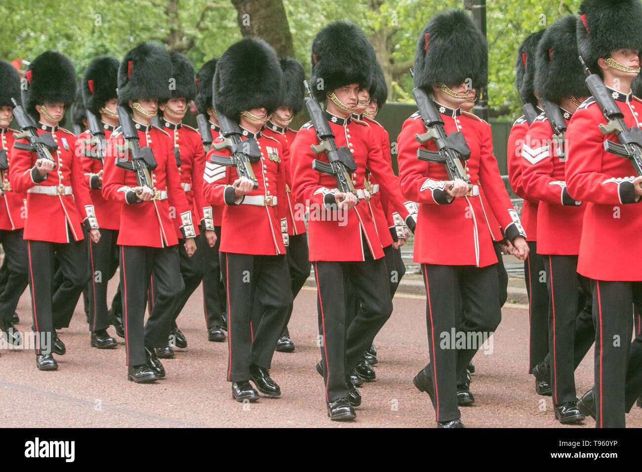 London, Großbritannien. 17 Mai, 2019. Mitglieder von Her Majesty's Foot Guards, die die verschiedenen Haushalts Regimenter teilnehmen, in der die Farbe Proben im Horse Guards Parade zum Geburtstag das offizielle Queen am 8. Juni Credit: Amer ghazzal/Alamy leben Nachrichten Stockfoto