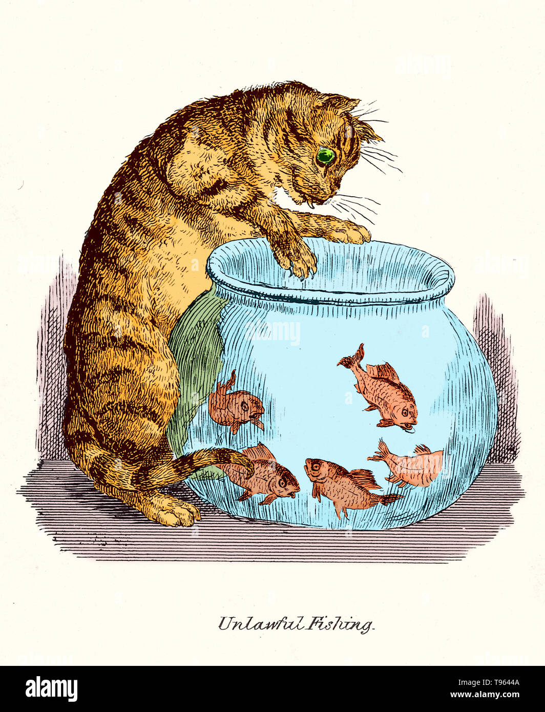 "Rechtswidrige Angeln": eine Katze beim Goldfisch in eine Schüssel scharren. Nachbildung einer Feder und Tinte Zeichnung von Robert Seymour. Dieses Bild hat Farbe verbessert. Stockfoto