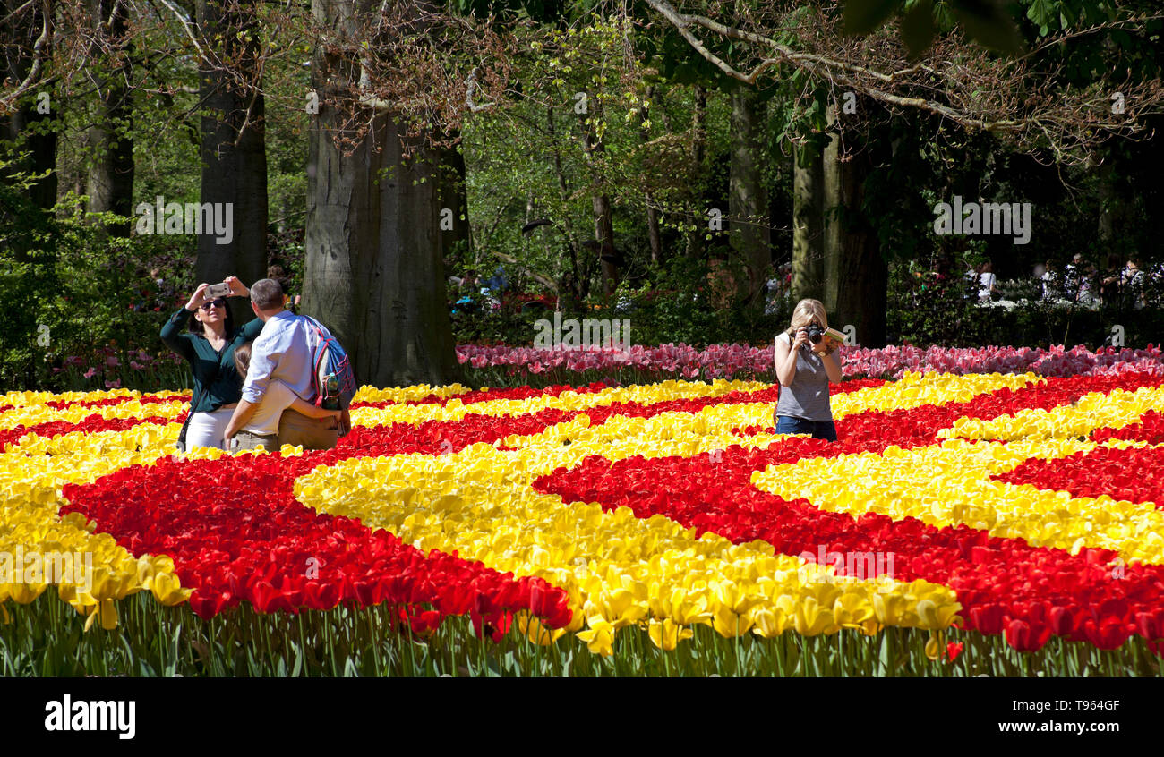 Keukenhof Holland, Besucher Foto schöne bunte Tulpen Blumen in voller Blüte im Frühjahr. Europa Stockfoto