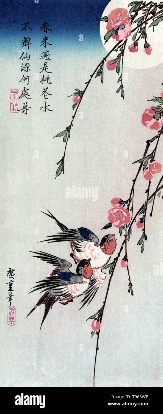 Gekka momo ni tsubakura. Mond, Schwalben und pfirsichfarbenen Blüten. Zwei Schwalben mit Pfirsich Blüten und Vollmond. Seit alten Zeiten die Japaner die Kombination von Schnee, Blumen, Mond betrachtet haben, und die Schönheiten der Natur. Und sie haben nicht nur solche Szenen in Betracht gezogen, Sie haben auch Sie bevorzugt Themen für Malerei und Poesie. Die symbolische Bedeutung der Mond ist eng mit dem Akt der Verjüngung gebunden. Utagawa Hiroshige, 1850. Stockfoto