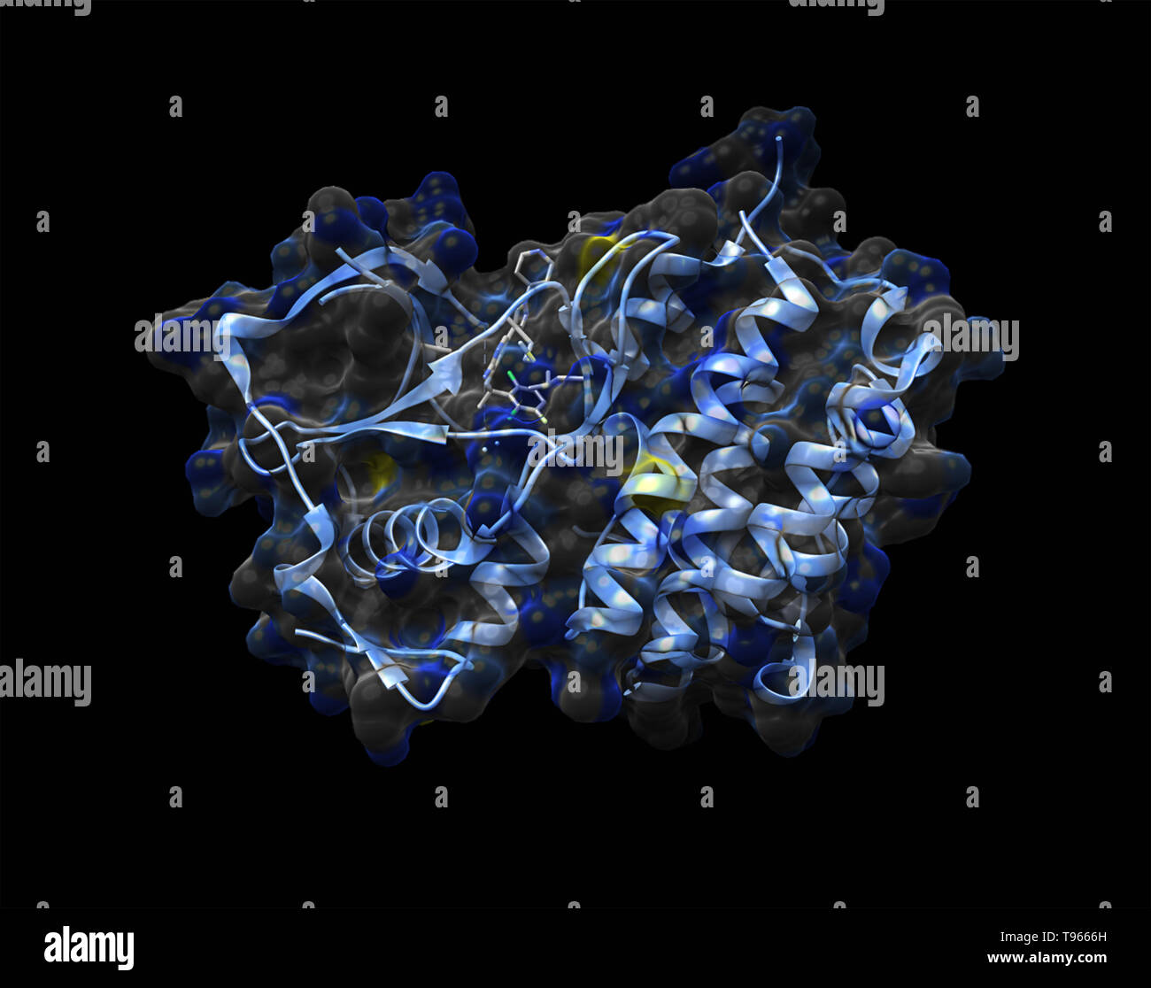 3D-Darstellung der Anaplastischen Lymphom Kinase mit crizotinib. Stockfoto