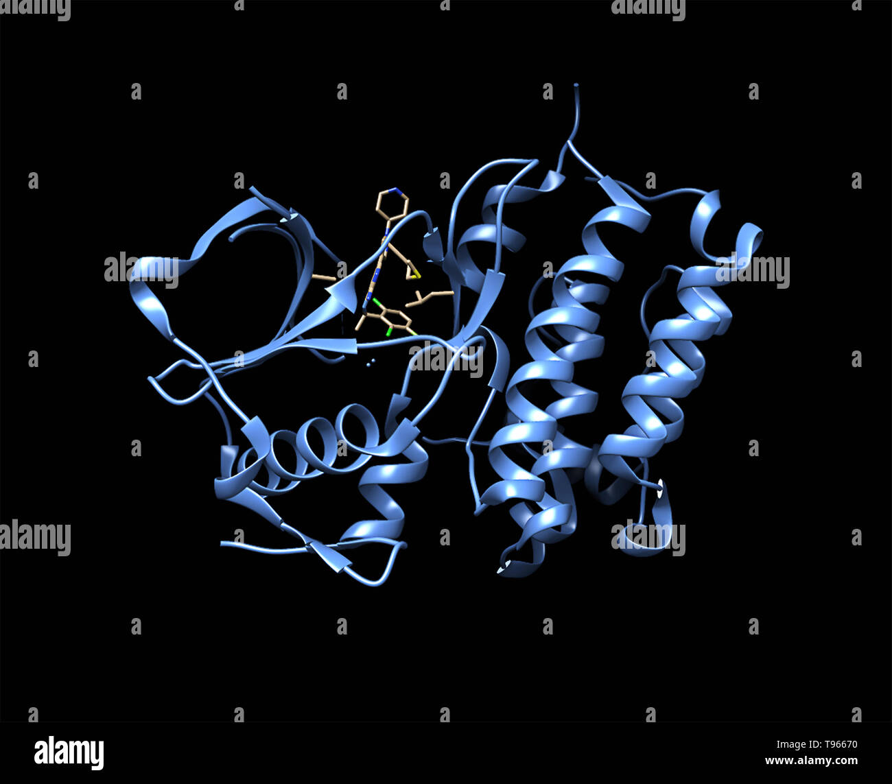 3D-Darstellung der Anaplastischen Lymphom Kinase mit crizotinib. ALK spielt eine wichtige Rolle in der Entwicklung des Gehirns und entfaltet seine Wirkungen auf bestimmte Neuronen im Nervensystem. Dieses Gen gefunden wurde neu angeordnet werden, mutiert, oder in einer Reihe von Tumoren einschließlich anaplastic Large Cell Lymphome, Neuroblastome verstärkt und nicht-kleinzelligem Lungenkrebs. Crizotinib (Handelsname Xalkori) ist ein Medikament gegen Krebs, das als ALK-Inhibitor, zugelassen für die Behandlung von nicht-kleinzelligen Lungenkrebs wirkt Stockfoto