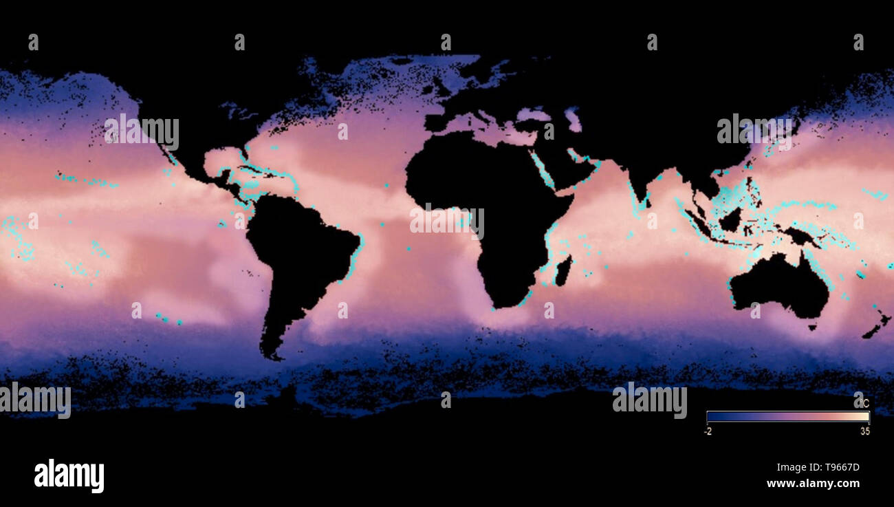 Karte zeigt die ungefähre Lage der wichtigsten Korallenriffe (blau) und die allgemeinen Bereiche (gefärbt oder gebleicht Teile), wo Riffe Schäden vom Bleichen gelitten haben. Von 2014 bis 2017, steigende Wassertemperaturen verursacht haben das Schlimmste Korallenbleiche auf Aufzeichnung, mit über 70 Prozent der Riffe zu beschädigen. Wenn Korallen sind durch Änderungen der Bedingungen wie Temperatur, Licht, oder Nährstoffen betonte, sie vertreiben die symbiotische Algen leben in ihrem Gewebe, wodurch sie komplett weiß zu drehen. Stockfoto