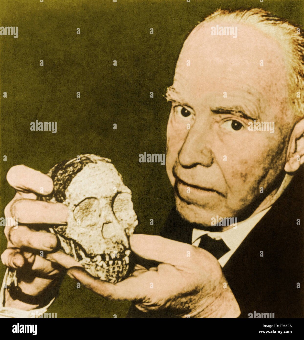 Raymond Arthur Dart (4. Februar 1893 - 22. November 1988) war ein australischer Anatom und Anthropologe. 1924, Dart entdeckt die erste Australopithecus africanus Fossil, eine ausgestorbene Homininen eng mit Menschen verwandt. Stockfoto
