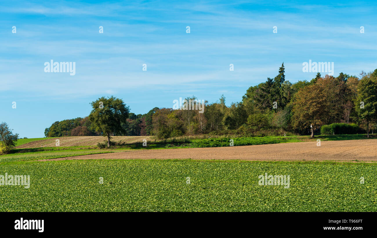 Ackerland Landschaft in Europa Stockfoto