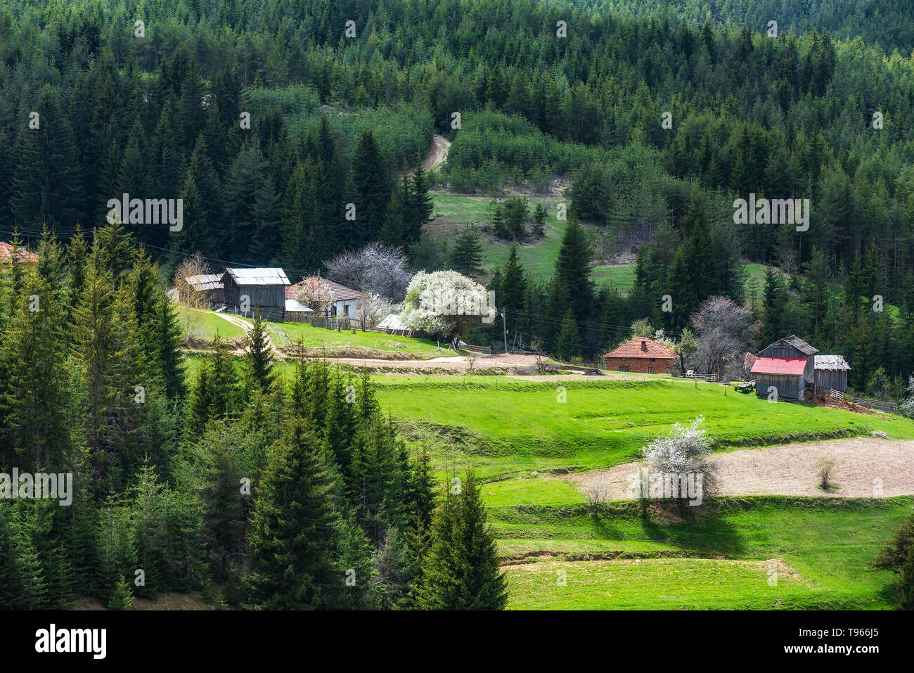 Kleines Dorf in den Rhodopen Gebirge, Bulgarien Stockfoto