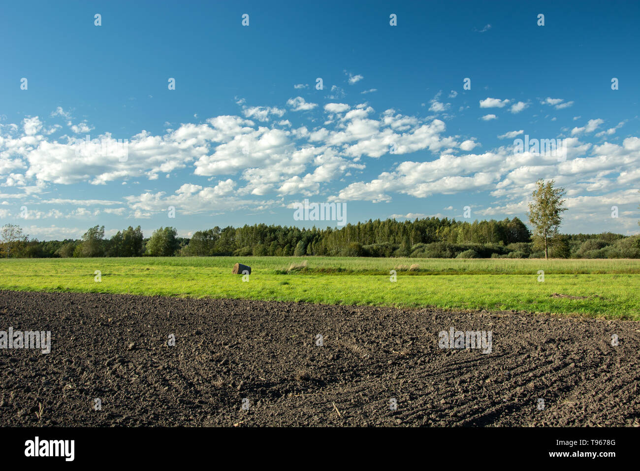 Gepflügten Feldes, grüne Wiese, Wald und weißen Wolken am blauen Himmel Stockfoto