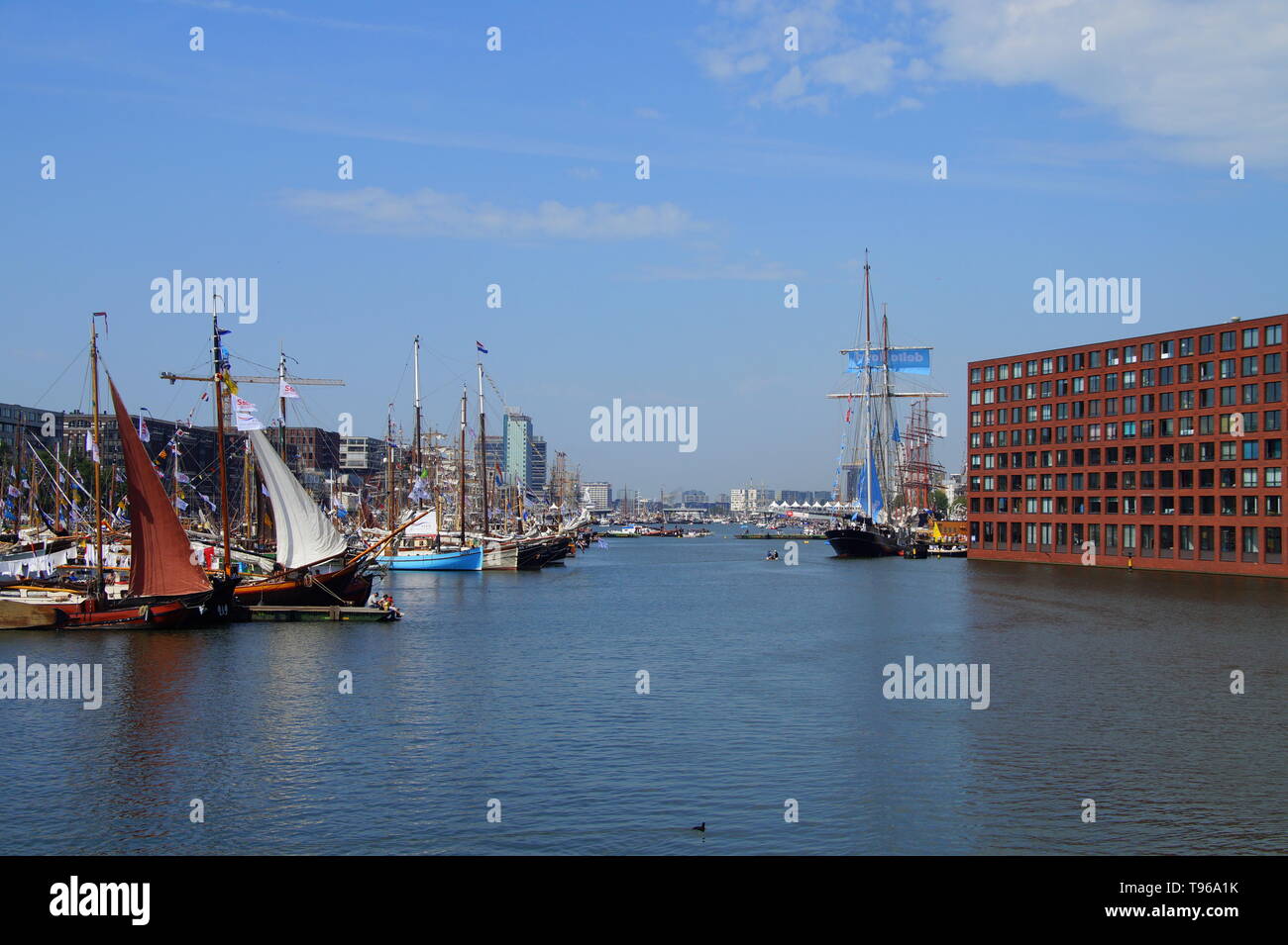 Amsterdam, Niederlande - 22. August 2015: Lange Blick über IJ Hafen während der SAIL Amsterdam 2015. Stockfoto