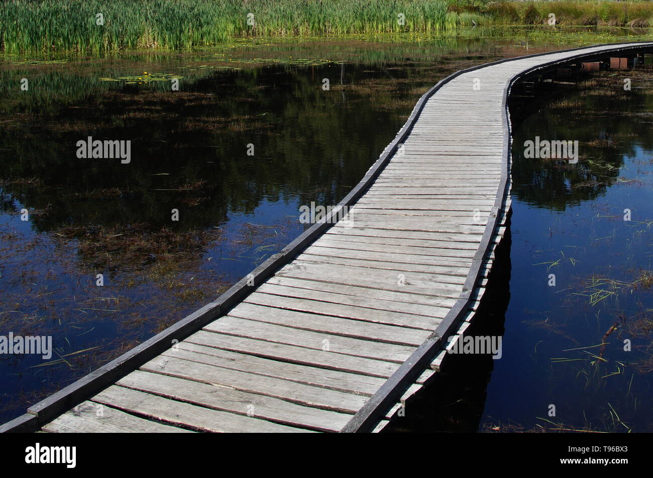 Friedliche Weg des Lebens - Achtsamkeit Ruhe. Stockfoto