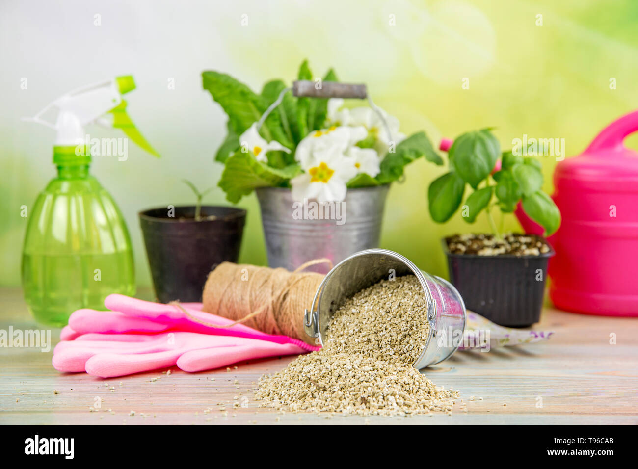 Mischen Vermiculit Granulat pellets mit schwarzen Gartenbau Boden verbessert die Speicherung von Wasser, Luftstrom, Wurzelwachstum Kapazität aller Pflanzen in Kübeln wachsen Stockfoto