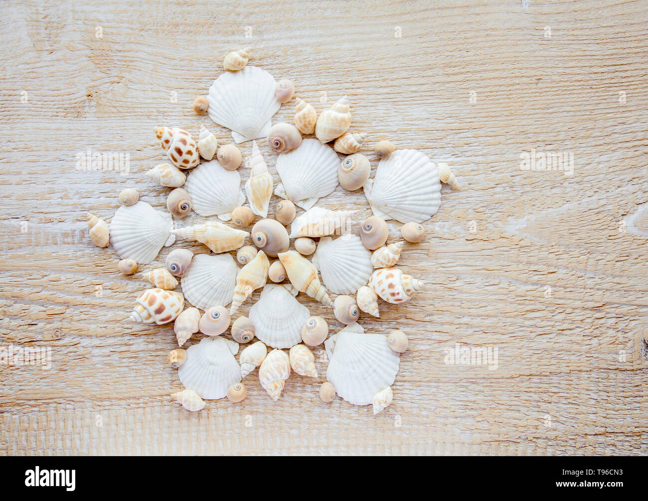 Wunderschönes mandala Muster aus echten Muscheln. Reisen an exotische Orte Hintergrund Konzept. Stockfoto