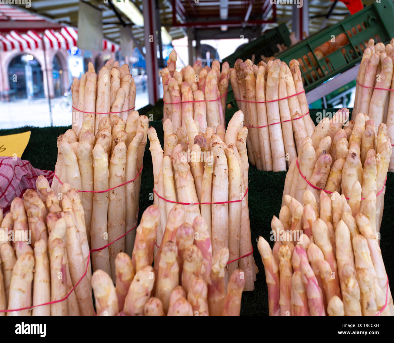 Unches an frischen saisonalen weißer Spargel Stockfoto