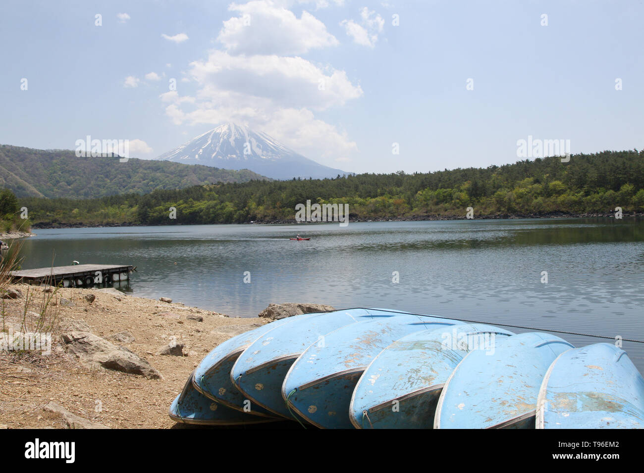 Lake Saiko & Mount Fuji, Japan Stockfoto