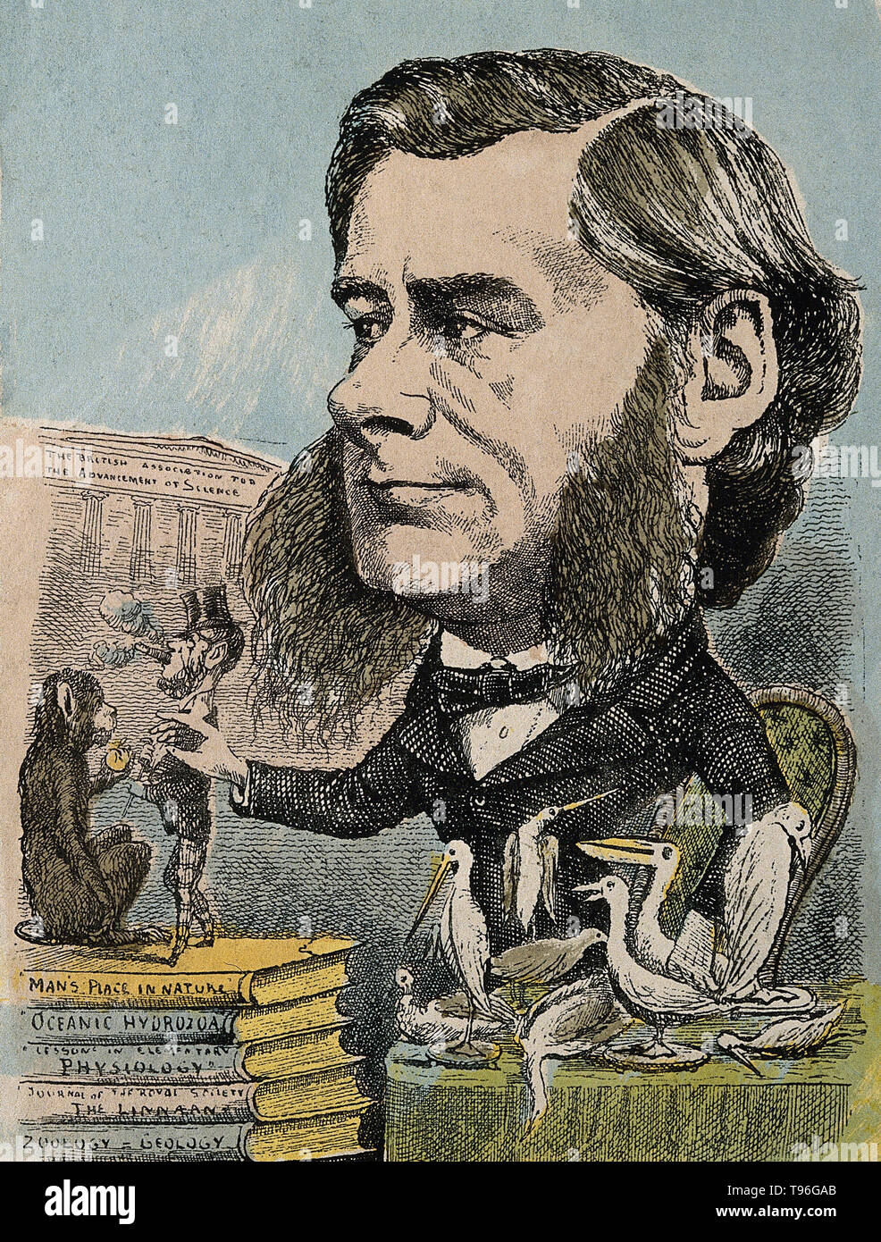 Thomas Henry Huxley (4. Mai 1825 - 29. Juni 1895) war ein englischer Biologe, als "'Darwin Bulldogge'' für seine Befürwortung von Charles Darwins Theorie der Evolution bekannt. Huxleys berühmte 1860 Aussprache mit Samuel Wilberforce war ein wichtiger Moment in der breitere Akzeptanz der Evolution, und in seiner eigenen Karriere. Huxley war langsam zu einigen von Darwins Ideen, wie Gradualismus akzeptieren, und war unbestimmt über die natürliche Selektion, aber trotz dieser war er in seinen öffentlichen Unterstützung von Darwin von ganzem Herzen. Stockfoto