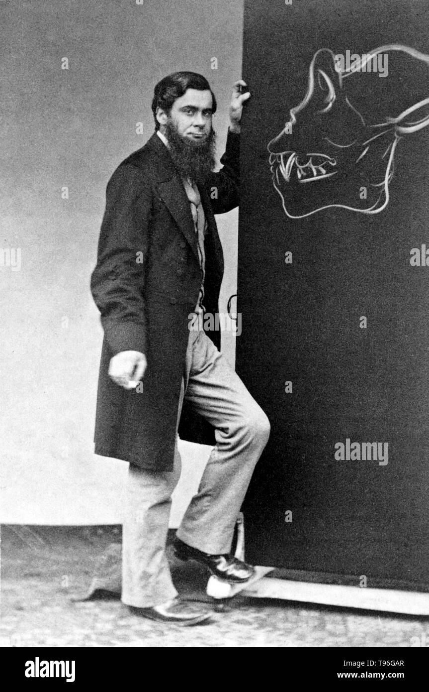 Thomas Henry Huxley (4. Mai 1825 - 29. Juni 1895) war ein englischer Biologe, als 'Darwin Bulldogge' für seine Befürwortung von Charles Darwins Theorie der Evolution bekannt. Huxleys berühmte 1860 Aussprache mit Samuel Wilberforce war ein wichtiger Moment in der breitere Akzeptanz der Evolution, und in seiner eigenen Karriere. Huxley war langsam zu einigen von Darwins Ideen, wie Gradualismus akzeptieren, und war unbestimmt über die natürliche Selektion, aber trotz dieser war er in seinen öffentlichen Unterstützung von Darwin von ganzem Herzen. Stockfoto