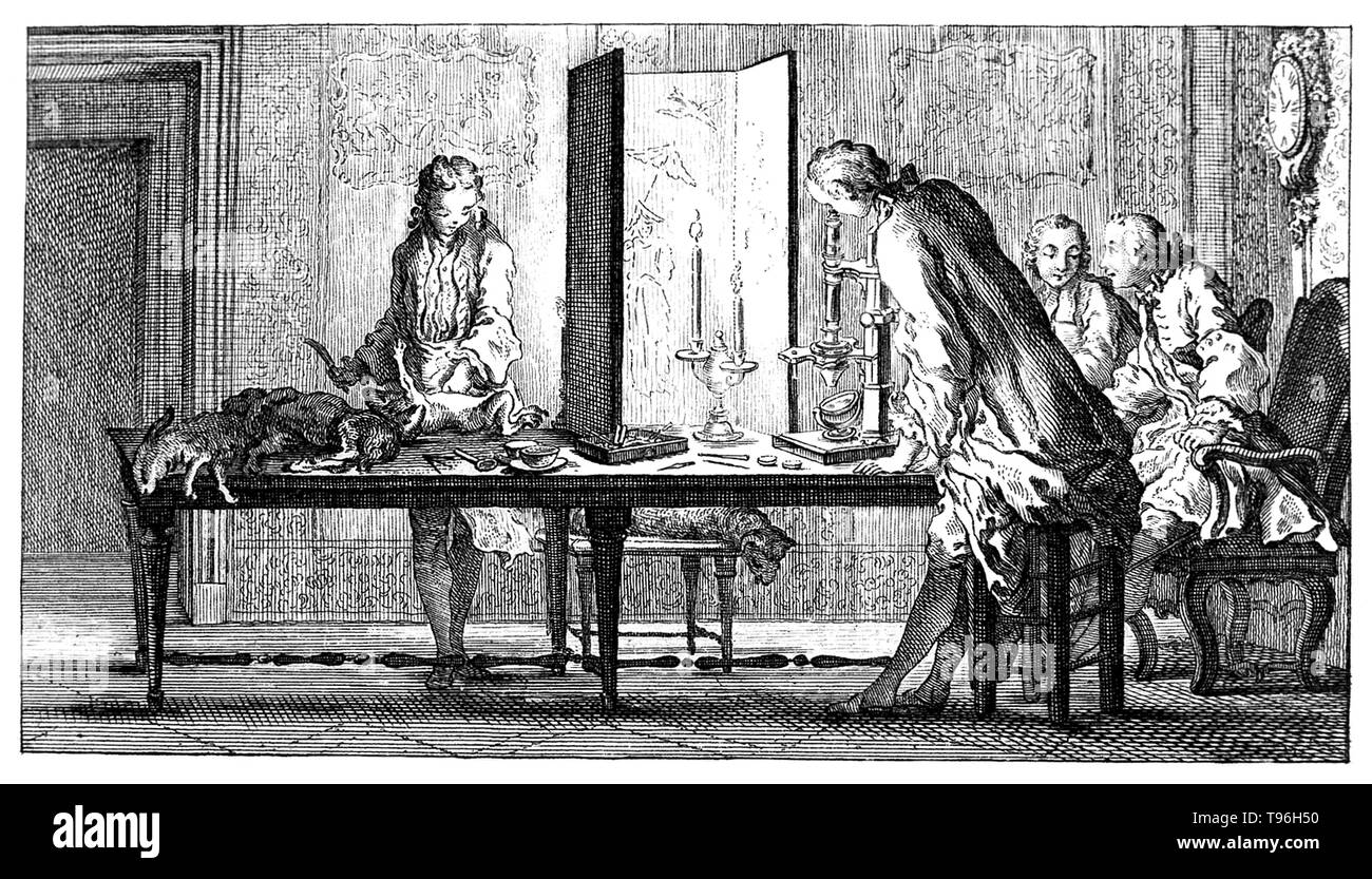Buffon und seine Freunde studieren Säugetier- Generation durch das Mikroskop. Georges Louis Leclerc, Comte de Buffon (September 7, 1707 - 16. April 1788) war ein französischer Naturforscher, Mathematiker, Kosmologe und enzyklopädischen Thema. Er verkörpert die revolutionären Veränderungen, die die Erleuchtung, um das Studium der Natur gebracht. Stockfoto