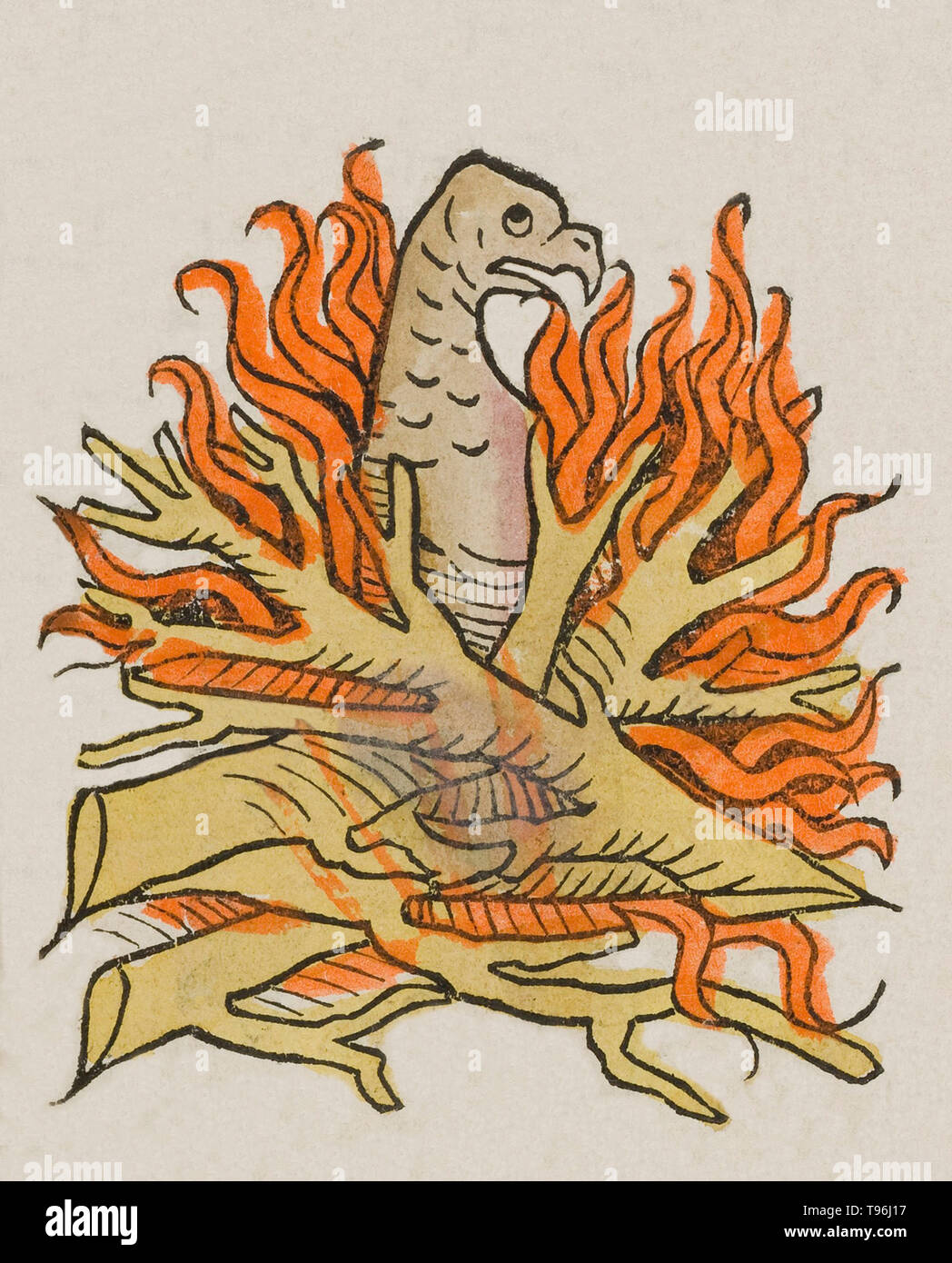 Die Phoenix war eine mythische heilige Firebird, die in den Mythologien der Perser, Griechen, Römer, Ägypter, Chinesen gefunden werden kann, und Phönizier. Ein Phoenix war ein Feuer Geist mit einem bunten Gefieder und einen Schwanz von Gold und Purpur (oder Lila, Blau und Grün nach einigen Legenden). Nur ein Phoenix jederzeit gegeben. Es hatte eine 500 bis 1000 Jahre Lebenszyklus, nahe dem Ende der es sich ein Nest aus Zweigen errichten würden, in Brand gesetzt, und in den Flammen verzehrt werden. Stockfoto