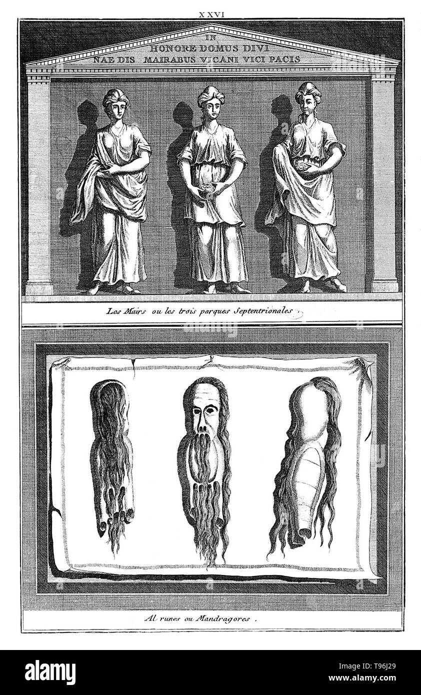 Les mairs ou les trois Parques septentrionales. Al Runen ou mandragores. Die drei Schicksale und einige mandrake Charme. n der griechischen Mythologie, die moirai waren die Inkarnationen des Schicksals. Ihre Zahl wurde festgesetzt auf drei: KLOTHO (Spinner), Lachesis (allotter) und Atropos (unturnable). Sie kontrollierten die metaphorische Faden des Lebens eines jeden Menschen von der Geburt bis zum Tod. Stockfoto