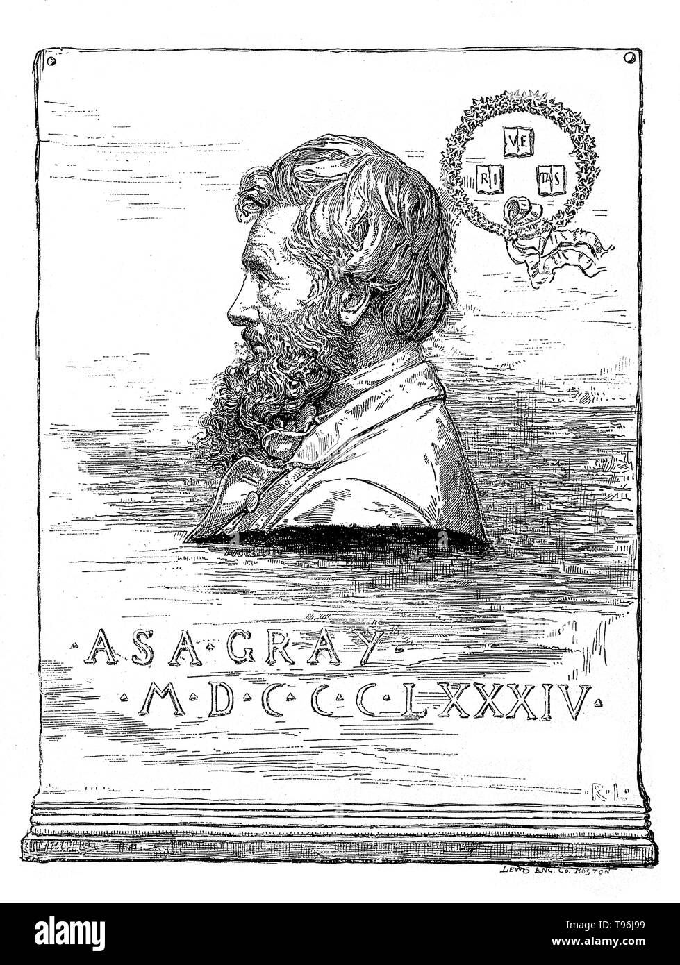 Asa Gray (November 18, 1810 - Januar 30, 1888) ist der wichtigste amerikanische Botaniker des 19. Jahrhunderts angesehen. Er spielte eine entscheidende Rolle bei der Vereinheitlichung des taxonomische Kenntnisse der Pflanzen von Nordamerika. Von vielen Grey's Werke auf Botanik, die beliebteste war seine ''Manuell der Botanik der Norden der USA, von New England in Wisconsin und von Süden nach Ohio und Pennsylvania Inclusive''. Stockfoto