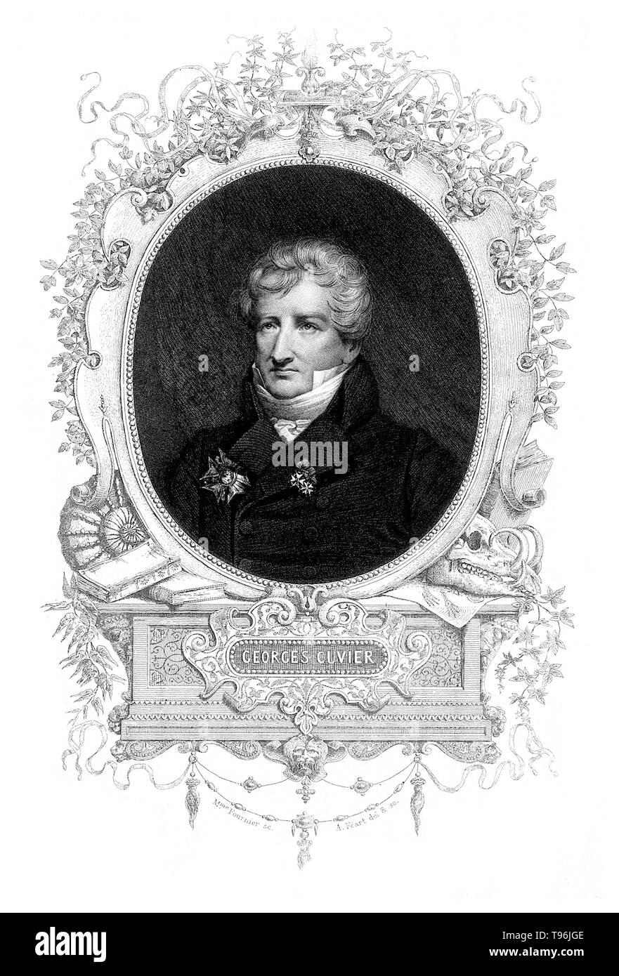 Georges Cuvier (August 23, 1769 - Mai 13, 1832) war ein französischer Naturforscher und Zoologe, manchmal auch als "Vater der Paläontologie". Er entstand ein System der zoologischen Klassifikation, die Tiere nach den Strukturen ihrer Skelette und Organe gruppiert. Cuvier erweitert sein System zu Fossilien; seine Rekonstruktion der ausgestorbenen Tiere sah, auf der Grundlage ihrer Skelettreste, stark erweiterte die Wissenschaft der Paläontologie. Stockfoto