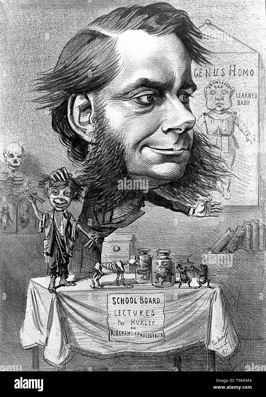 Thomas Henry Huxley (4. Mai 1825 - 29. Juni 1895) war ein englischer Biologe, als "'Darwin Bulldogge'' für seine Befürwortung von Charles Darwins Theorie der Evolution bekannt. Huxleys berühmte 1860 Aussprache mit Samuel Wilberforce war ein wichtiger Moment in der breitere Akzeptanz der Evolution, und in seiner eigenen Karriere. Huxley war langsam zu einigen von Darwins Ideen, wie Gradualismus akzeptieren, und war unbestimmt über die natürliche Selektion, aber trotz dieser war er in seinen öffentlichen Unterstützung von Darwin von ganzem Herzen. Stockfoto