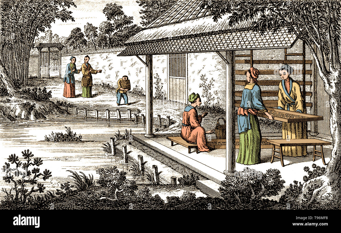 Textilien: silk Herstellung in China, das Füttern der Seidenraupen. Die Produktion von Seide verursacht wird China in prähistorischen Zeiten. Seide blieb China beschränkt, bis die Seidenstraße zu irgendeinem Zeitpunkt während der später die Hälfte des ersten Jahrtausends v. Chr. eröffnet. China hat seine Monopol über Seide Produktion weitere tausend Jahre. Seidenraupenzucht, oder Seide Landwirtschaft, ist die Zucht von Seidenraupen Seide zu produzieren. Stockfoto