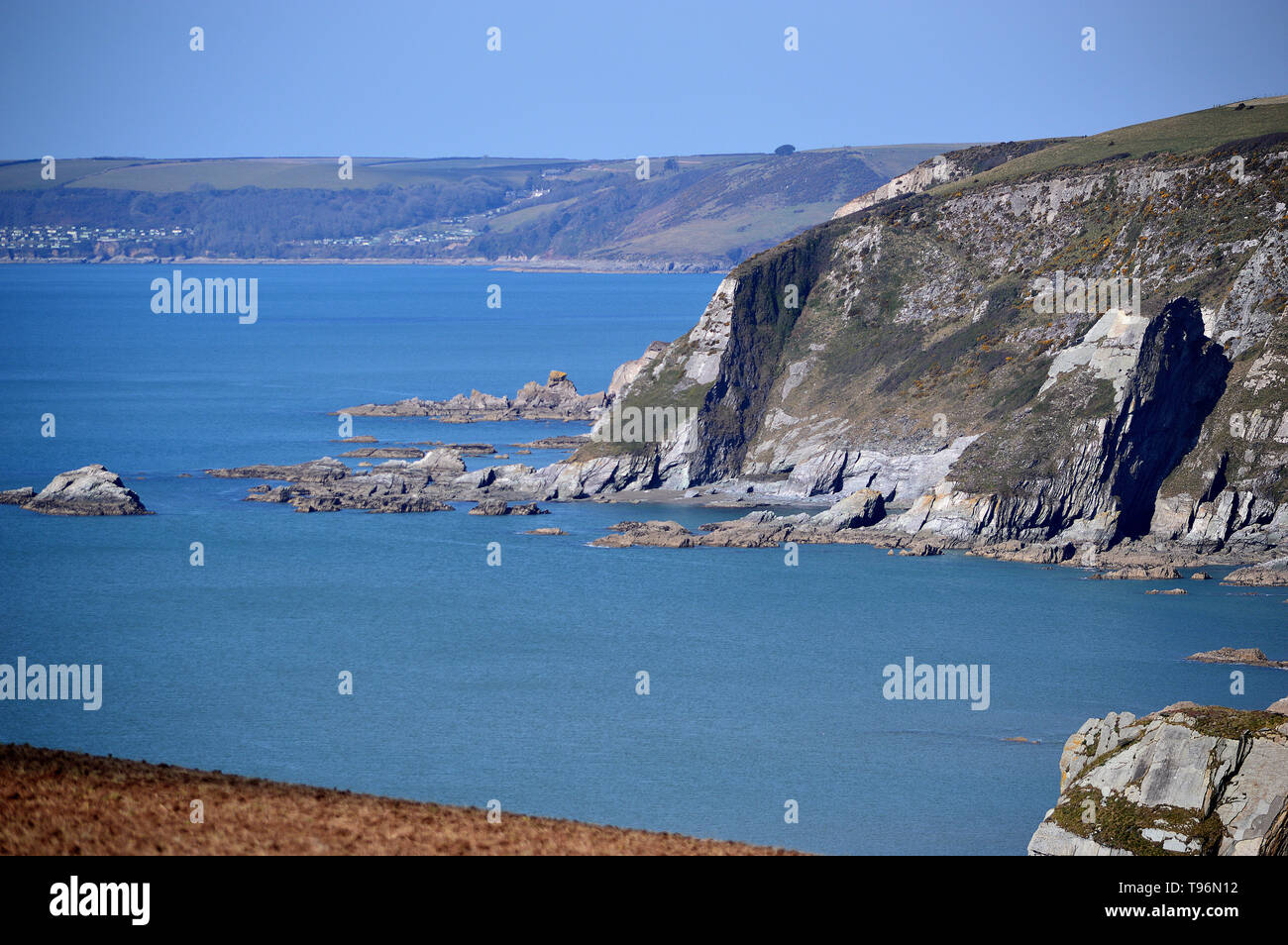 South Devon Blauwasser Arymer Cove Stockfoto