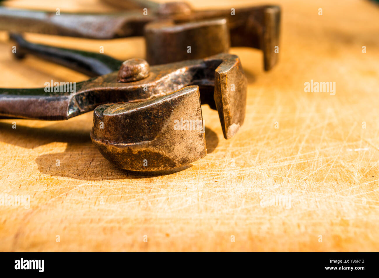 Nahaufnahme von Vintage Zange Kiefer auf einem alten hölzernen Schneidebrett. Natürliche Abendlicht mit Kopie Raum, geringe Tiefenschärfe. Stockfoto