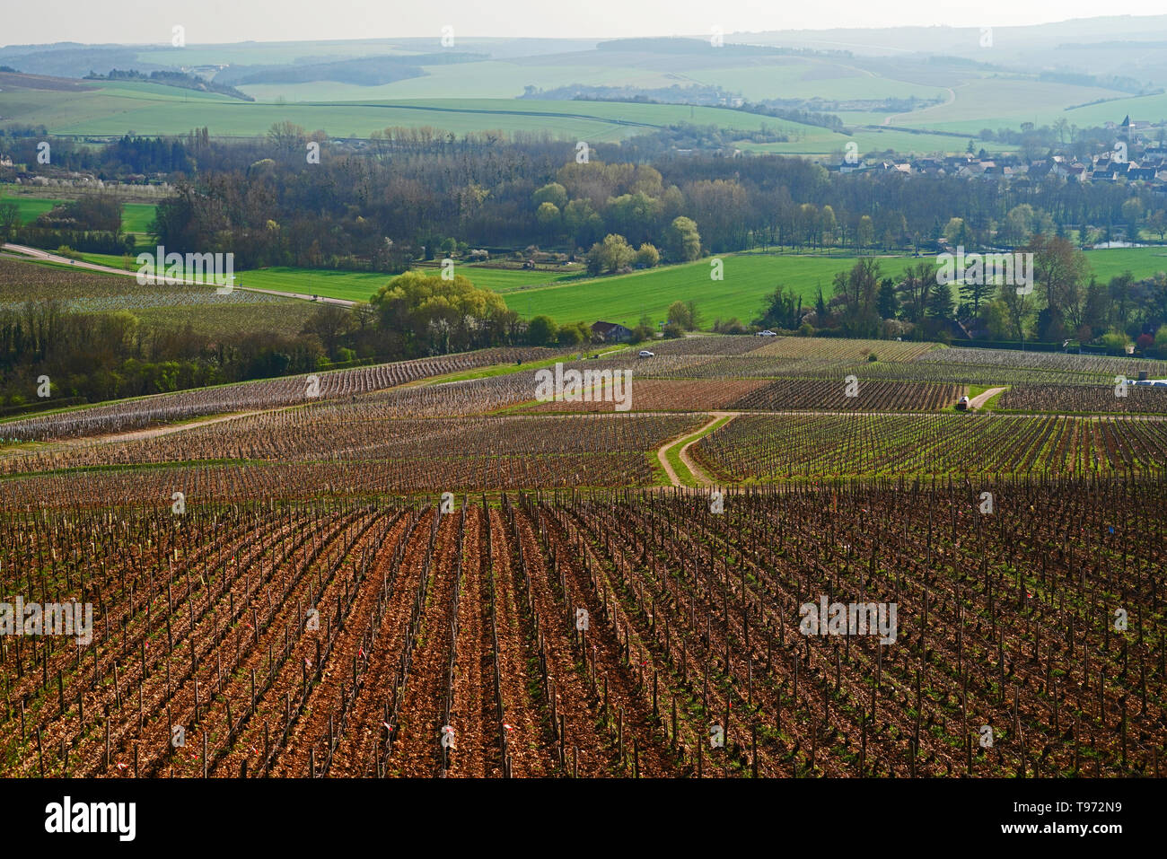 Weinberge und die Landschaft rund um Beaune in Burgund, Frankreich. Stockfoto