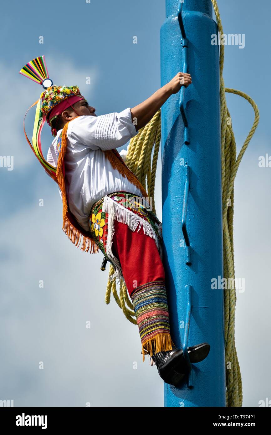 Ein volador steigt die dreißig Meter Pole der Heiligen zeremoniellen Tanz im Parque Takilhsukut an der pre-Columbian archäologischen Komplex von El Tajin in Tajin, Veracruz, Mexiko. Die Danza de los Voladores ist eine indigene Totonac Zeremonie mit fünf Teilnehmern, ein 30-meter Mast klettern. Vier dieser Riegel Seile an ihren Hüften und Wind das andere Ende um die Spitze der Pole, um auf den Boden hinunter. Der fünfte Teilnehmer bleibt an der Spitze der Pole, Spielen, Flöte und eine kleine Trommel. Die Zeremonie hat eingeschrieben worden als Meisterwerk des mündlichen und immateriellen Ihr Stockfoto